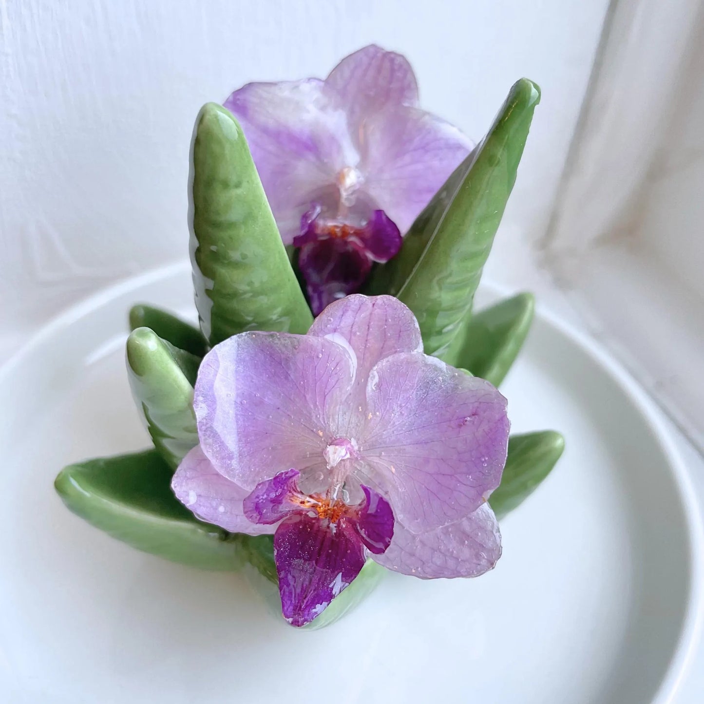 Mini Real Purple Orchid Earrings