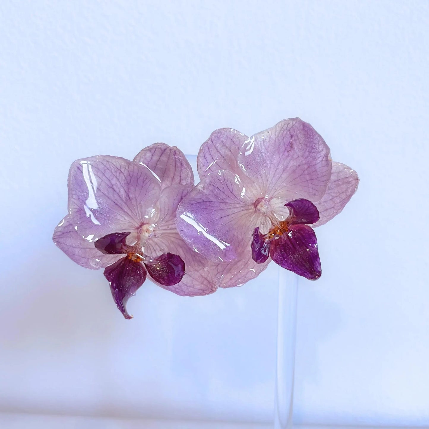 Mini Real Purple Orchid Earrings