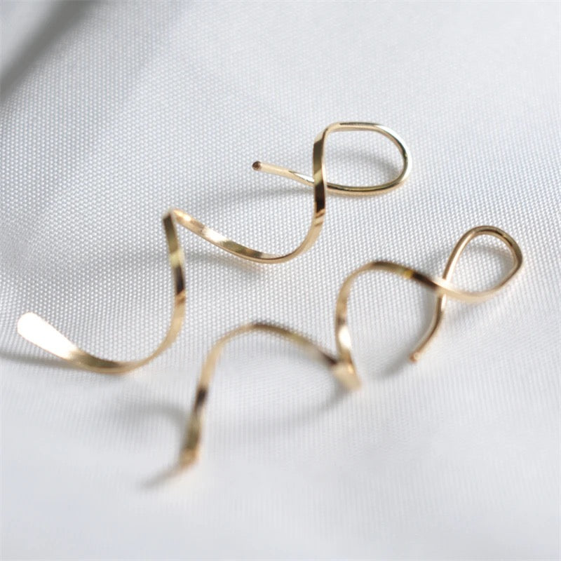 Spiral Brincos Long Earrings