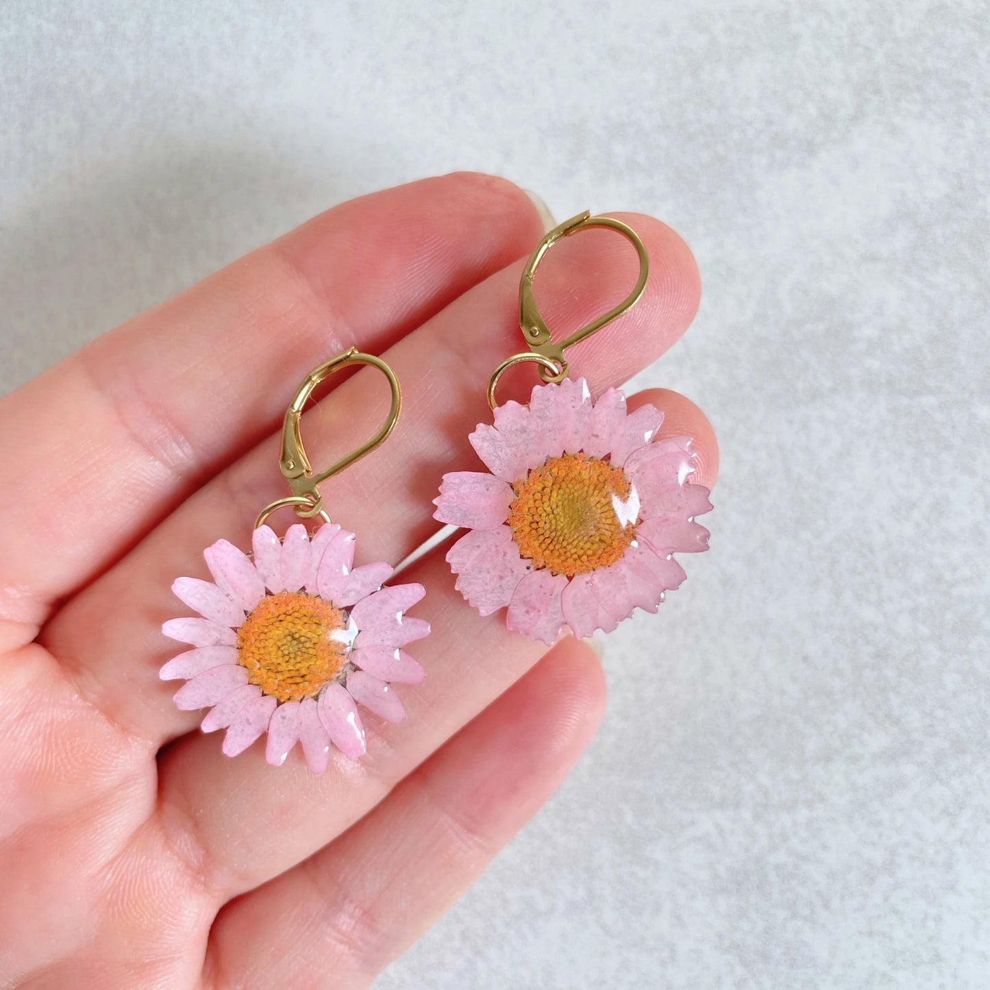 Real Daisy Flower Stud Earrings