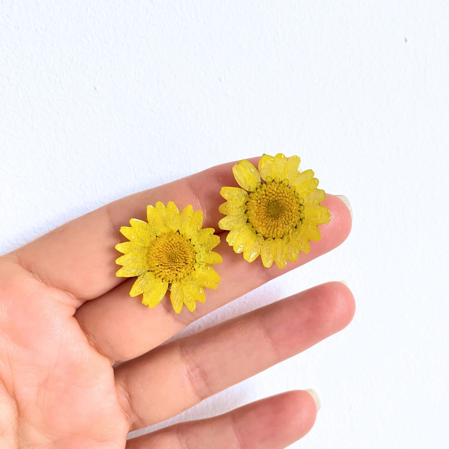 Real Daisy Flower Stud Earrings
