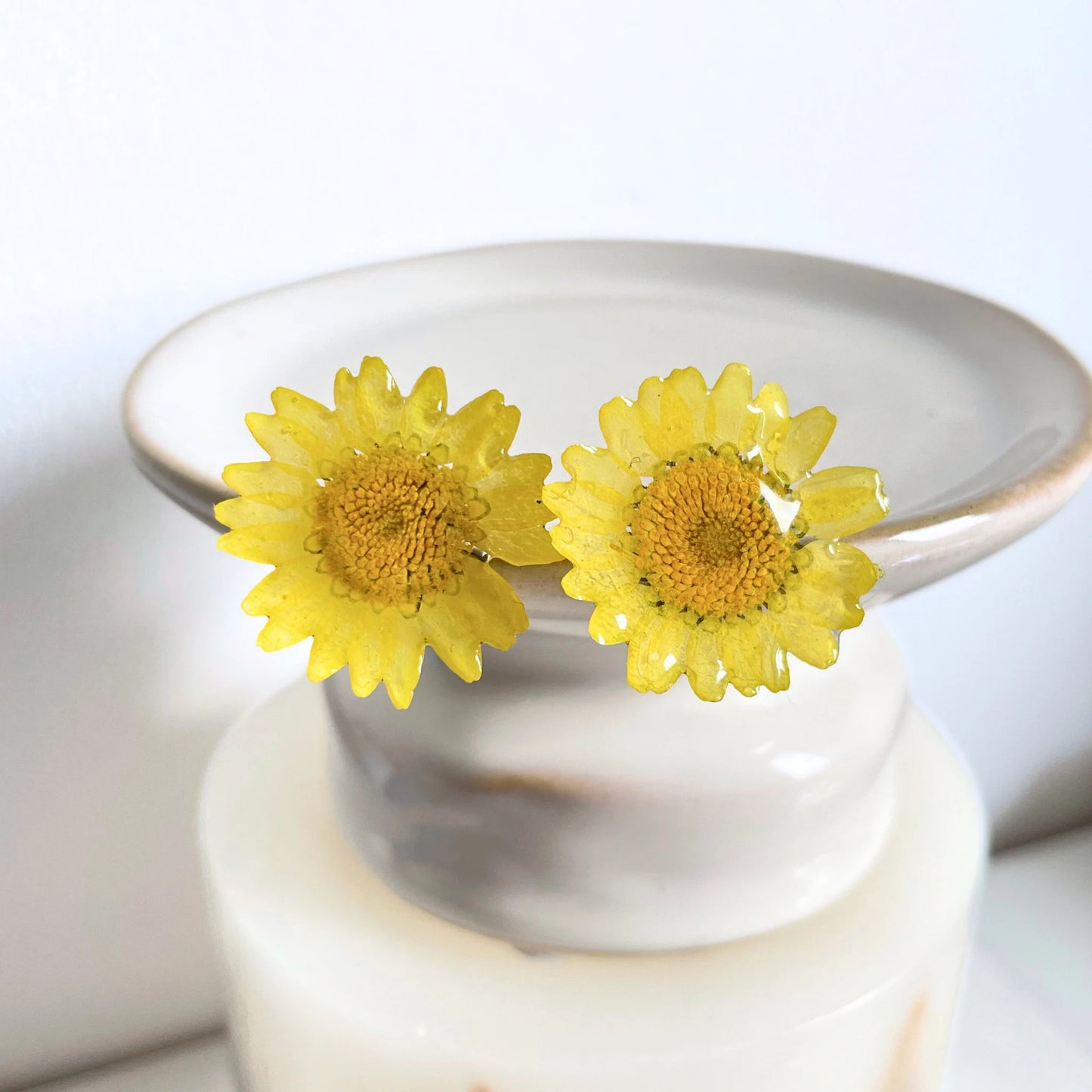 Real Daisy Flower Stud Earrings