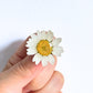 Real Daisy Flower Pin Brooch