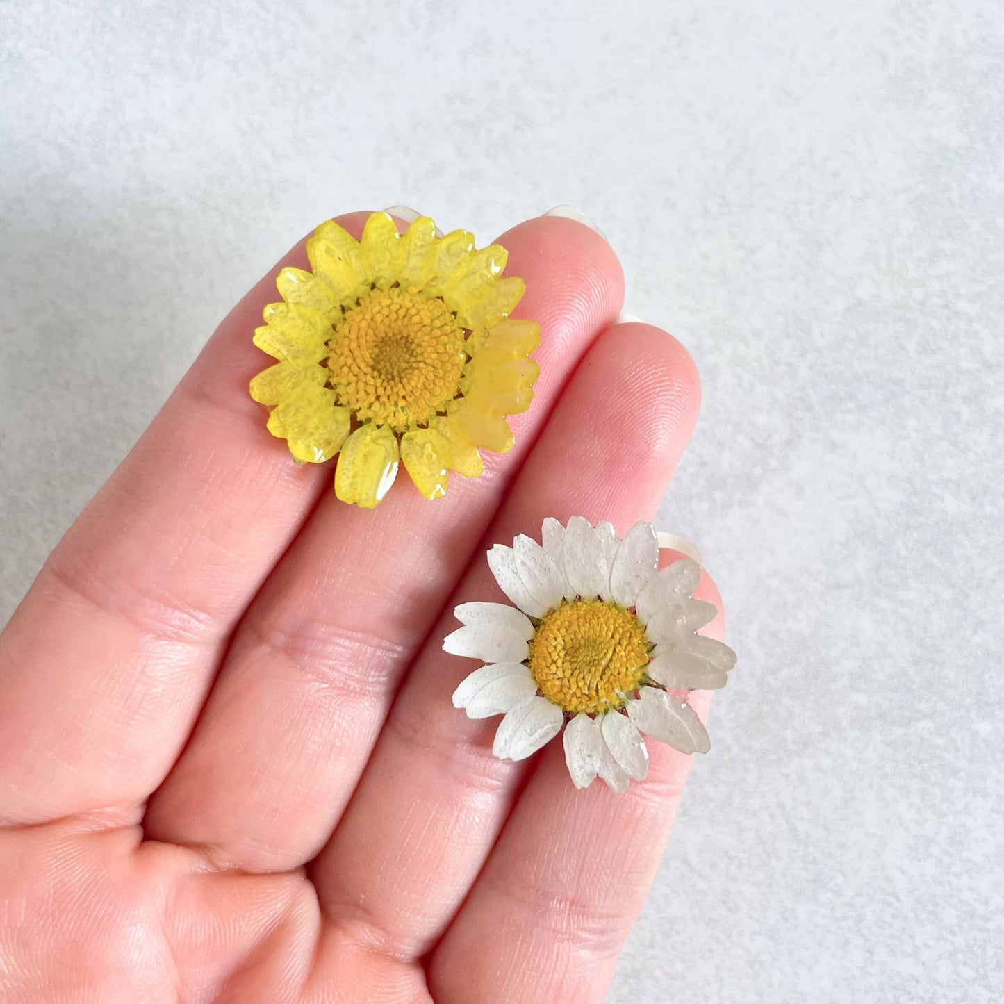 Real Daisy Flower Pin Brooch