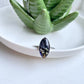 Real Dandelion Seed Navy Ring