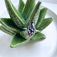 Real Dandelion Seed Navy Ring