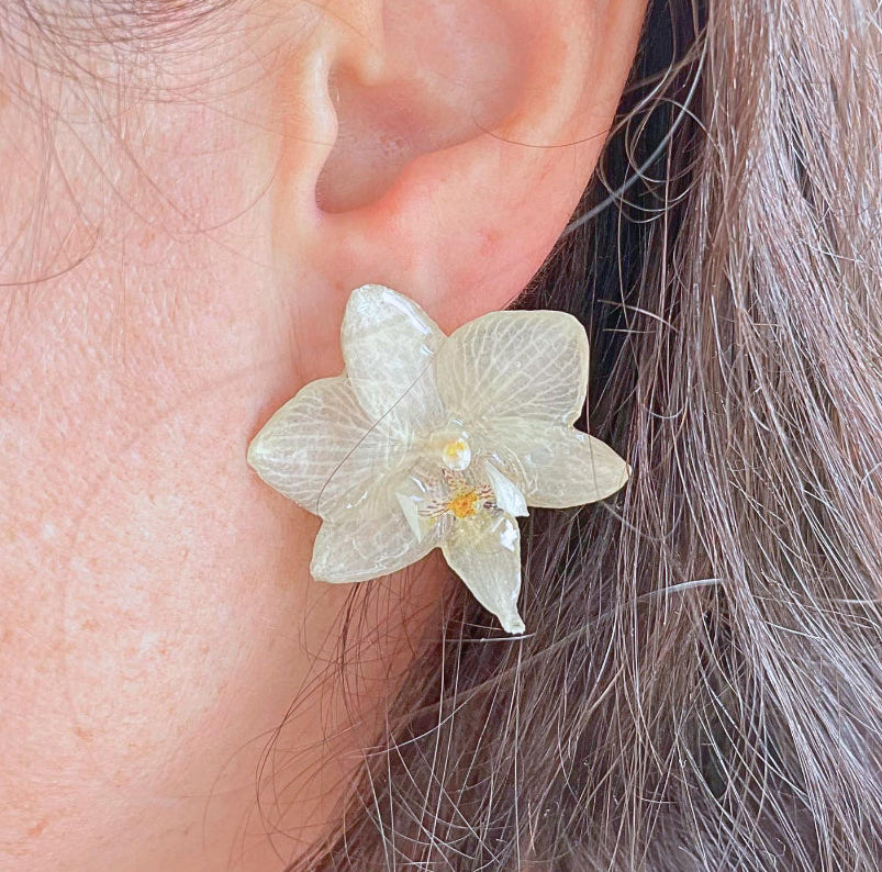 Real Purple Orchid Flower Earrings