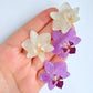 Real White Orchid Flower Earrings