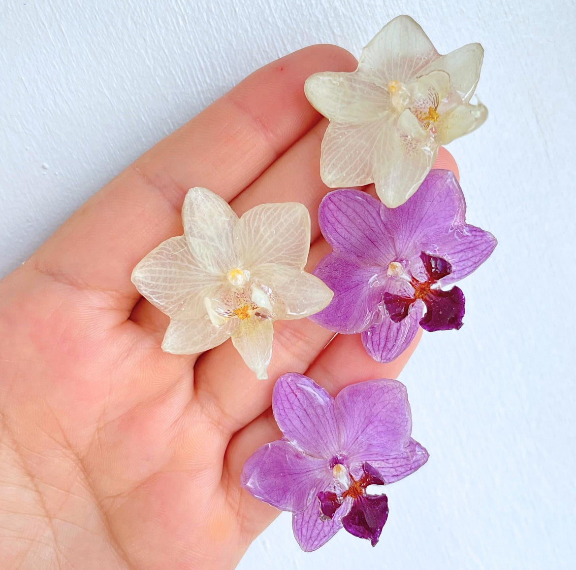 Real Purple Orchid Flower Earrings