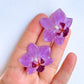 Real White Orchid Flower Earrings