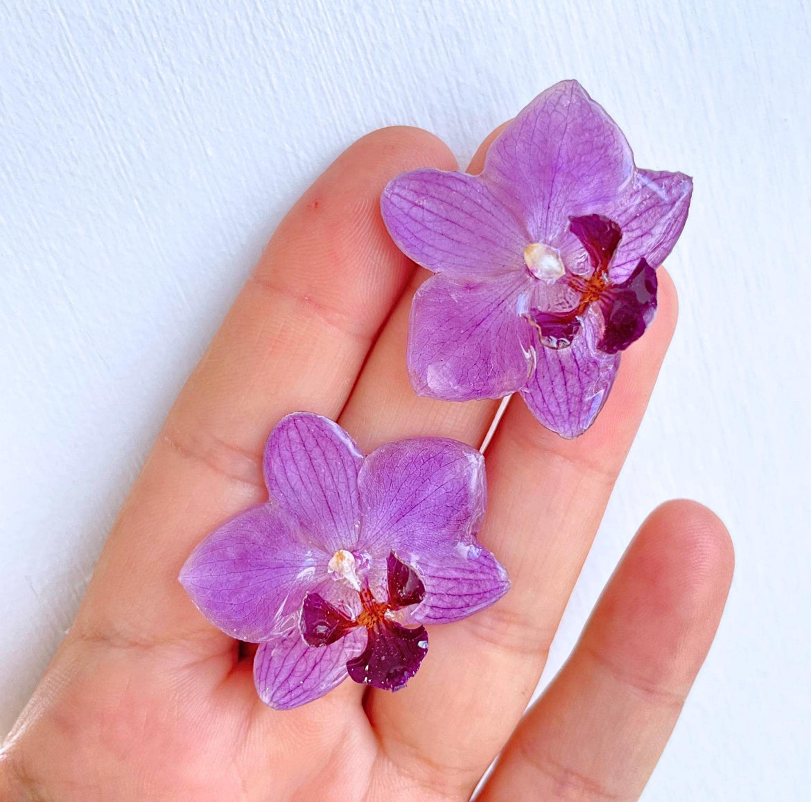 Real Purple Orchid Flower Earrings