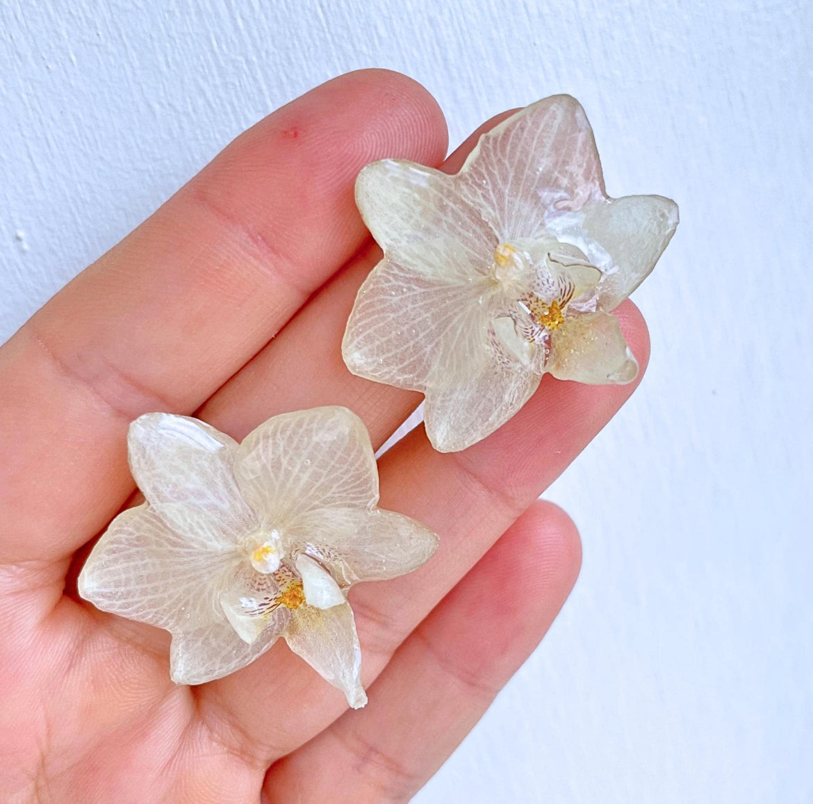 Real Purple Orchid Flower Earrings