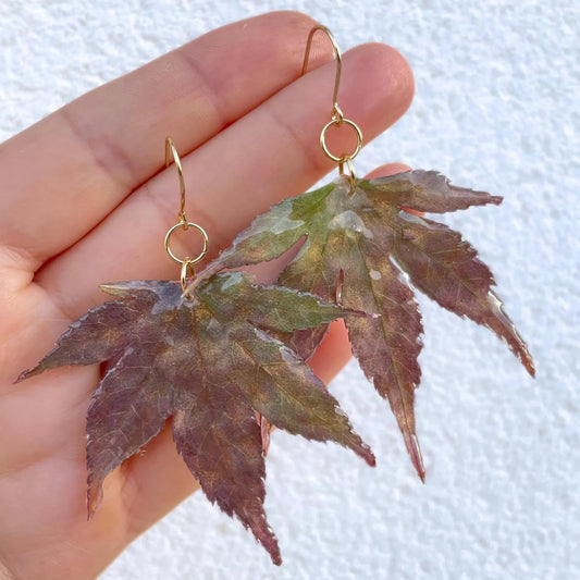 Real Large Maple Leaf Drop Earrings