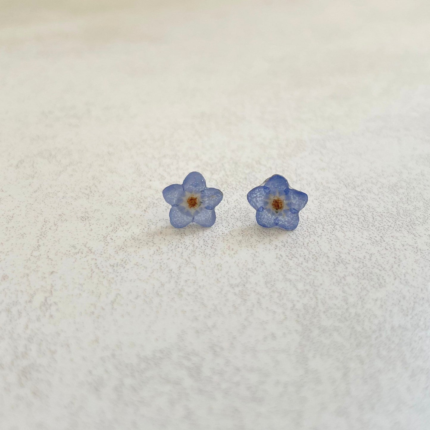 Real Forget Me Not Flower Stud Earrings