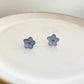 Real Forget Me Not Flower Stud Earrings