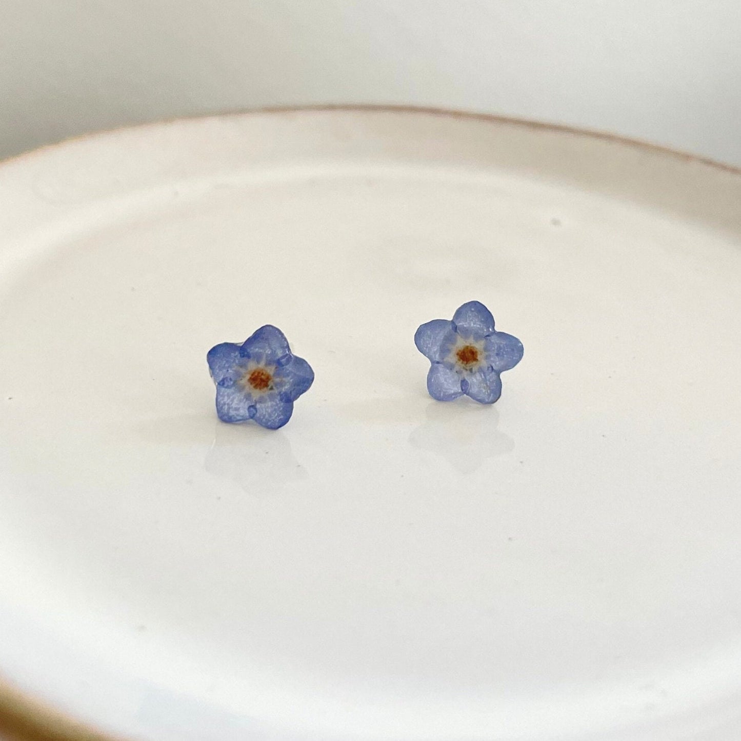 Real Forget Me Not Flower Stud Earrings