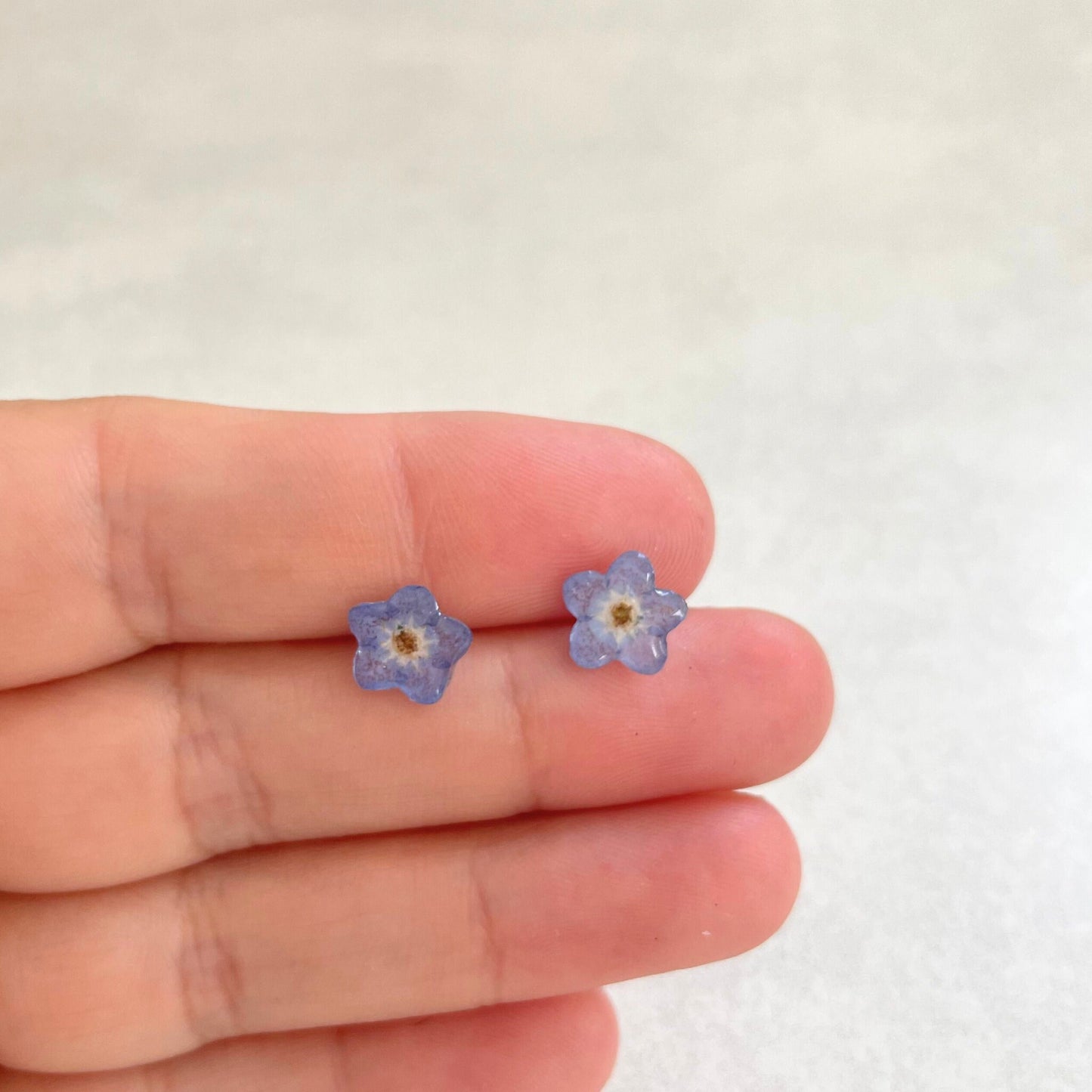 Real Forget Me Not Flower Stud Earrings