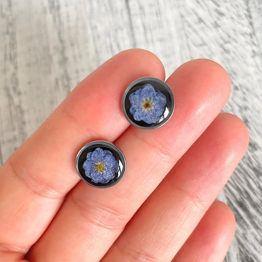 Dainty Real Forget Me Not Flower Black Button Stud Earrings • Minimalist Natural Flower Resin Earrings • Delicate Flower Round Earrings