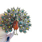 Colourful Rhinestone  Peacock Bird Silver Brooch