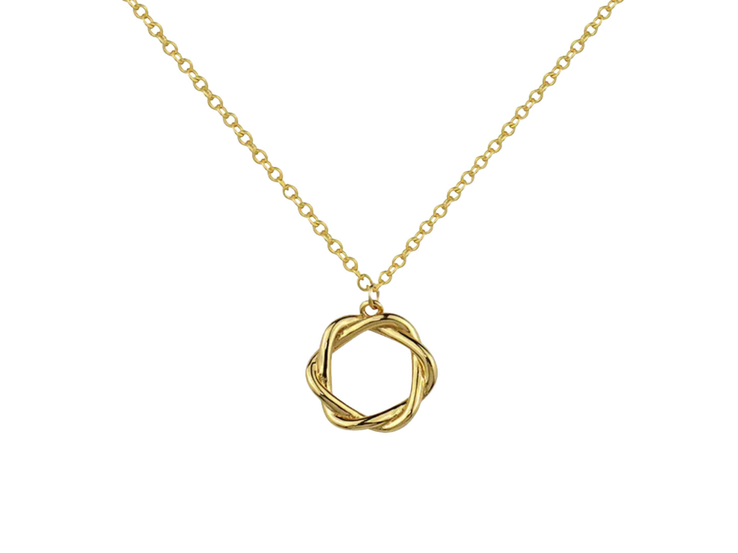 Twisted Circle Pendant Necklace